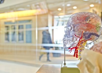 Les zones cérébrales de l’autisme