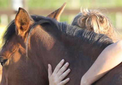 Médiation animale, zoothérapie, équithérapie… Ou comment les animaux soignent
