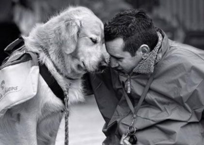 La douce complicité Homme-animal