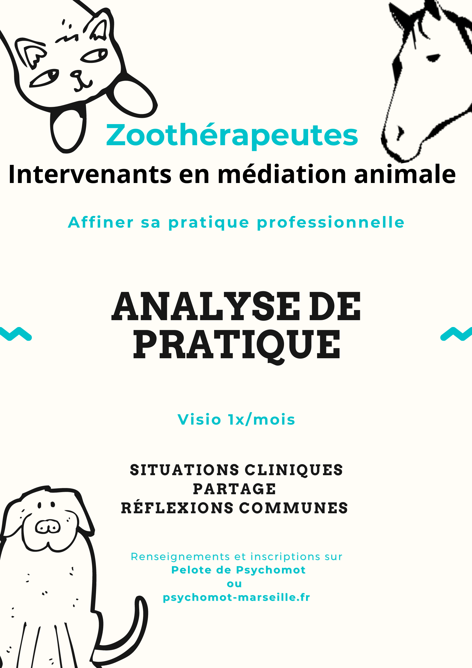 Les séances de supervision reprennent en septembre !
