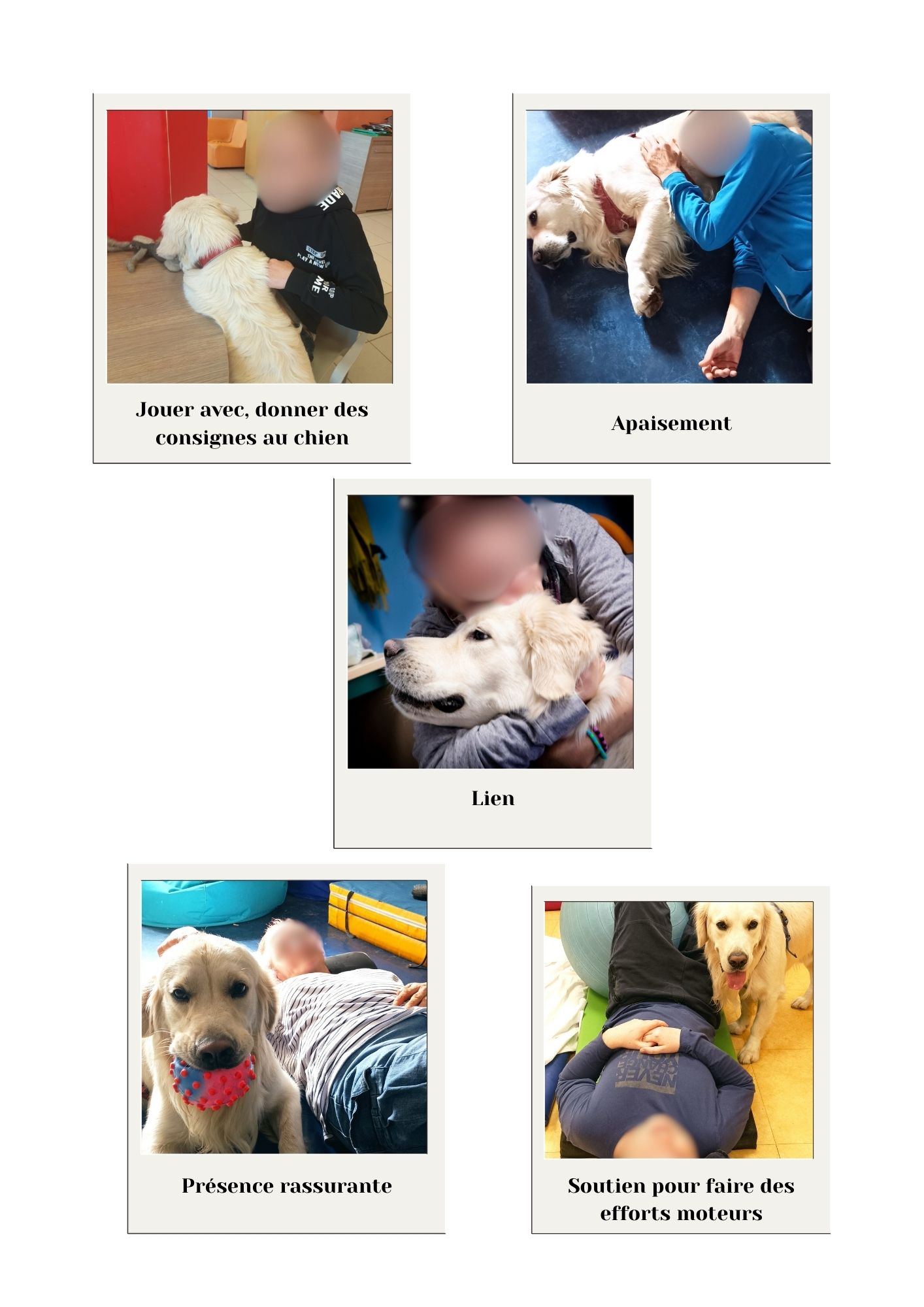 Photos des différents temps d'ateliers de médiation animale. 